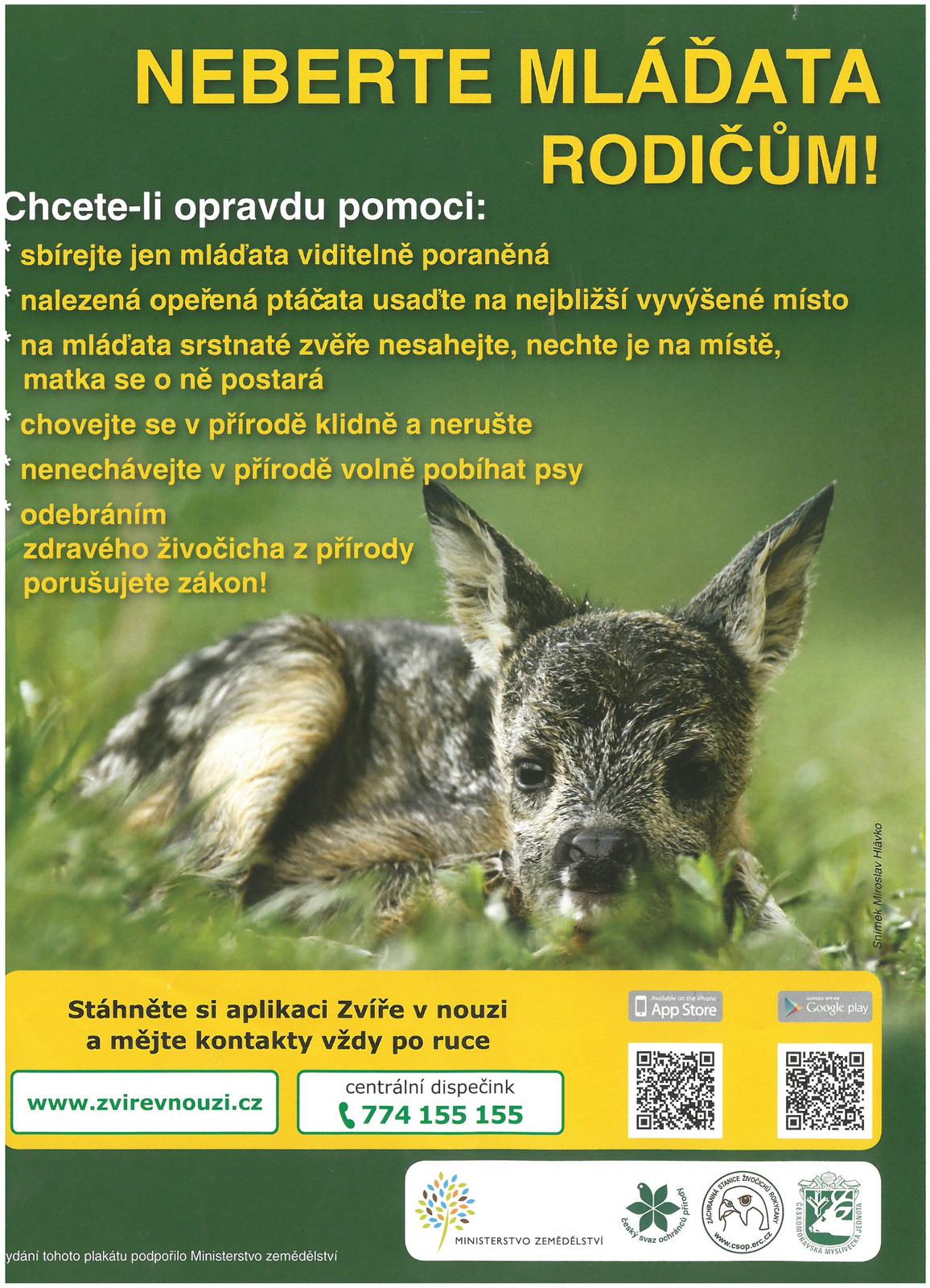 Neberte mláďata rodičům.jpg